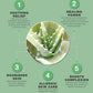 Raw Aloe Shea Butter for Total Skin Repair