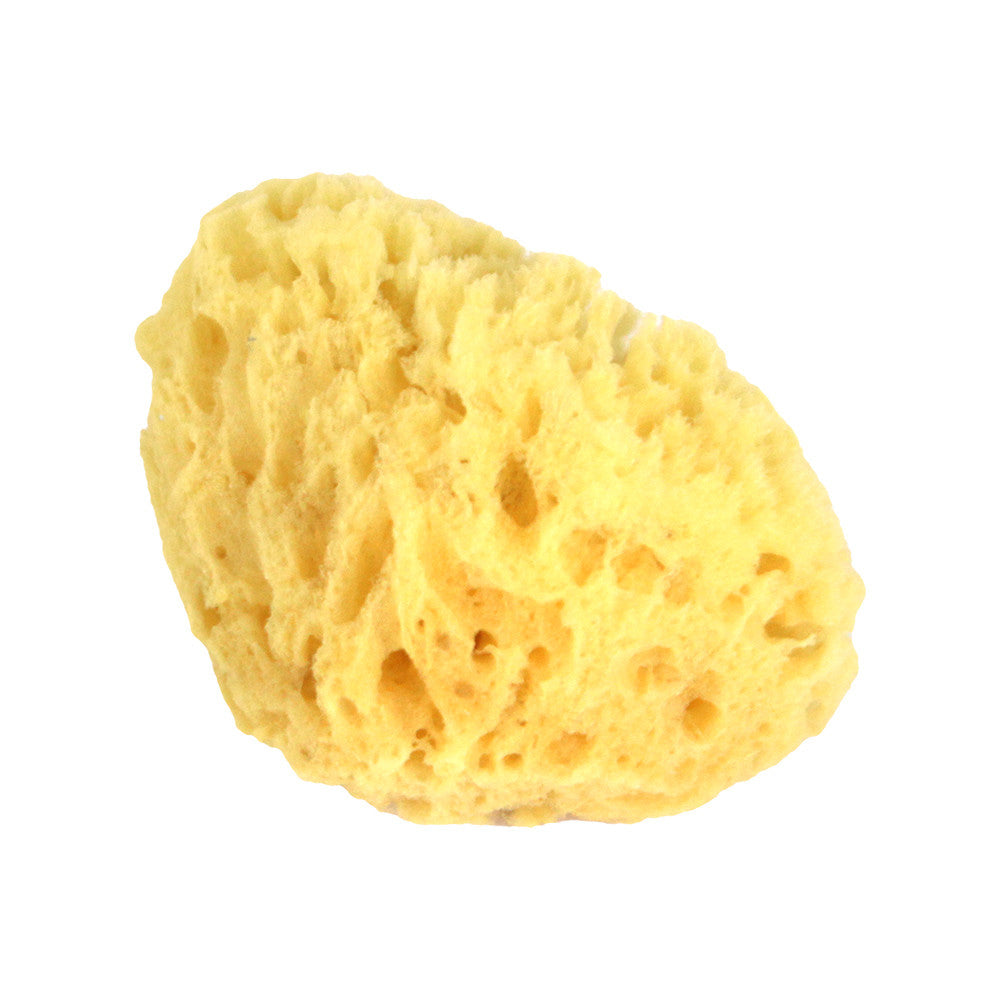 Dead Sea Natural Sponge